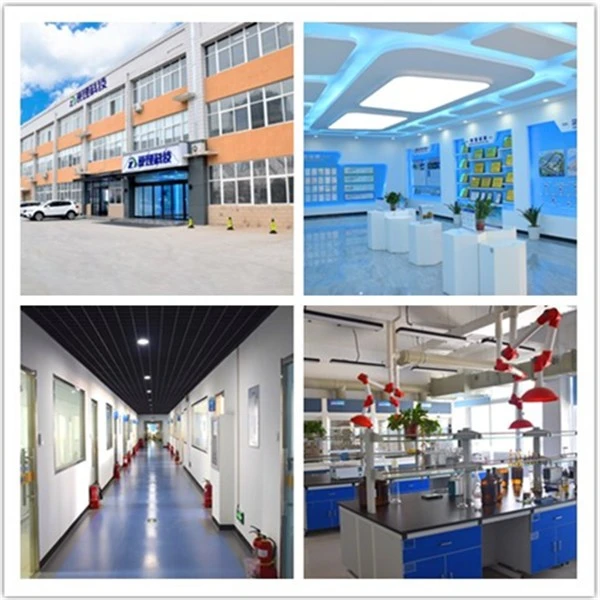 10B-BSH, 12448-24-7, 10B10H12SNa2 suppliers